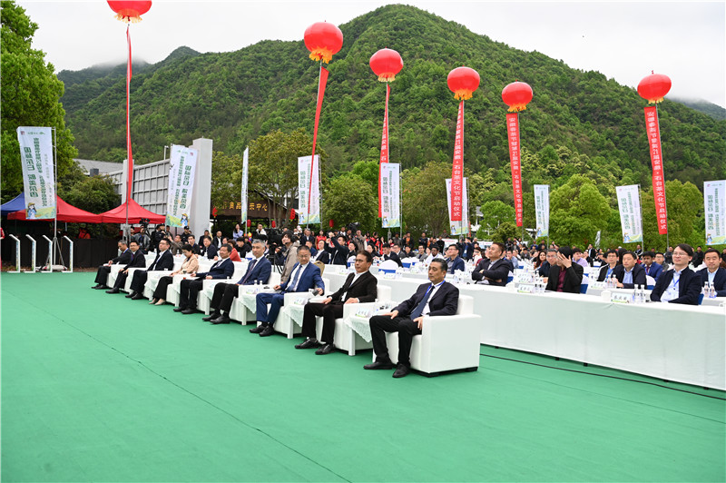 安徽春茶节暨第21届安徽·石台茶文化节正式启动。