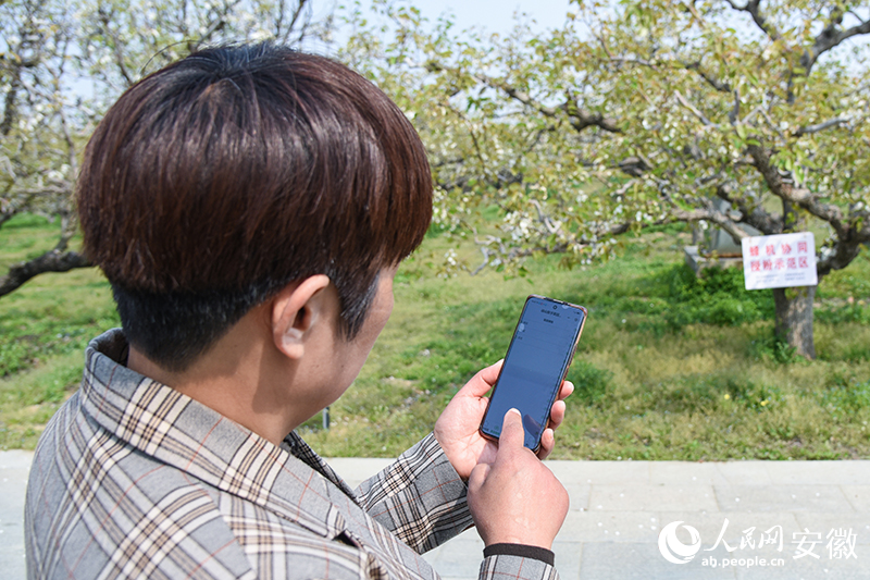 4工作人員正在通過手機查看果園墒情。人民網記者 李希蒙攝
