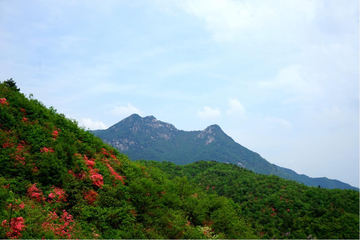 古井园国家级自然保护区风光。岳西县委宣传部供图