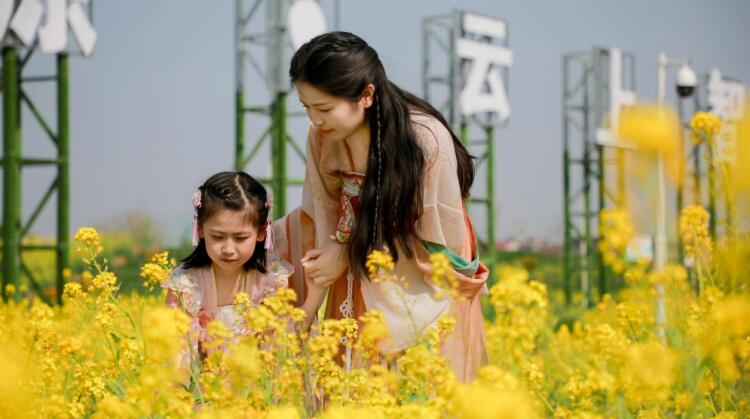 游客在油菜花田游玩打卡。利辛縣胡集鎮供圖