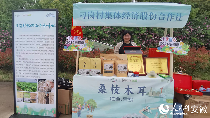 “木耳經濟”已成為三十鋪鎮刁崗村集體經濟重要來源。人民網 胡雨鬆攝