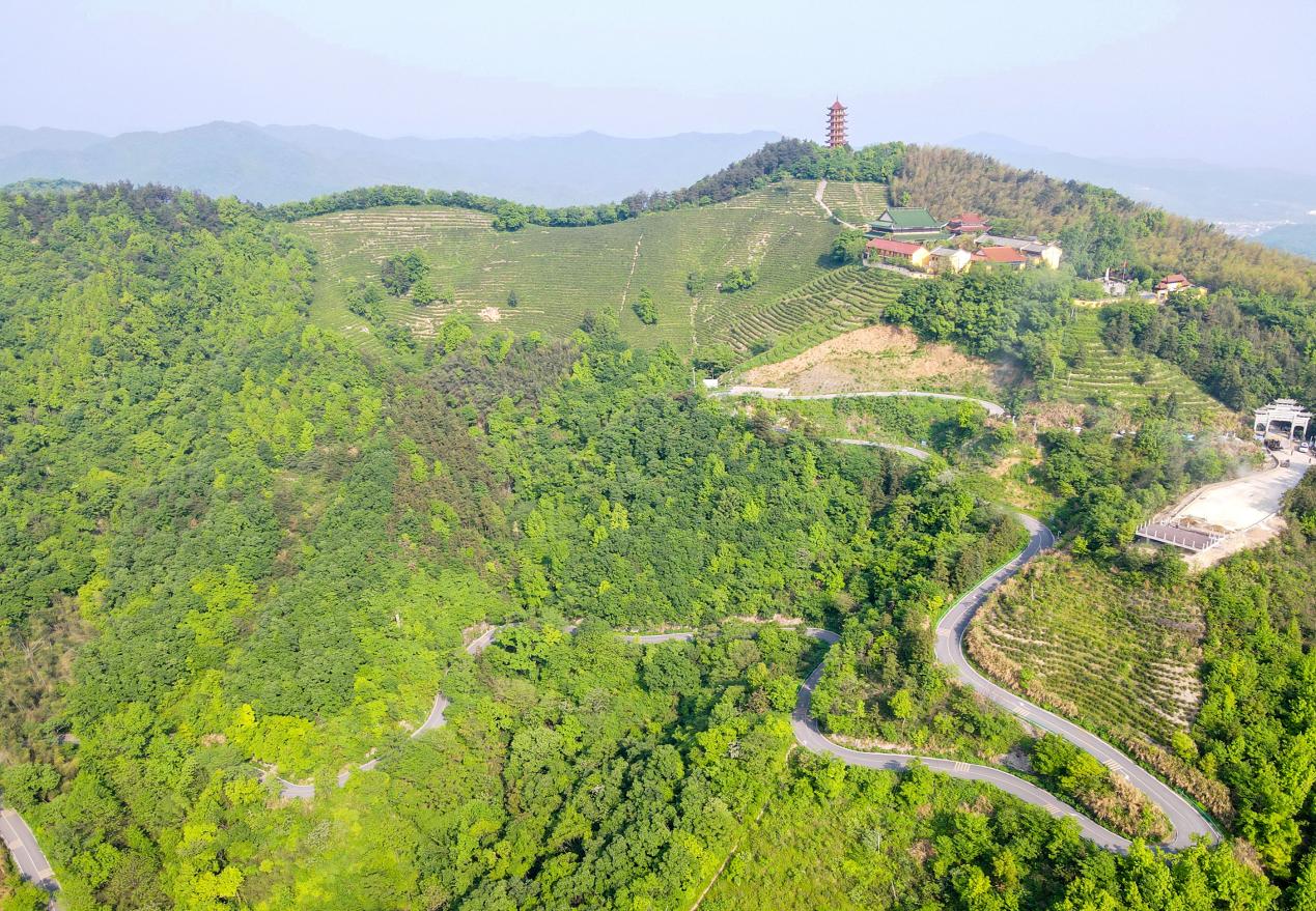 盤山公路在鄉村和山林之間蜿蜒穿行
