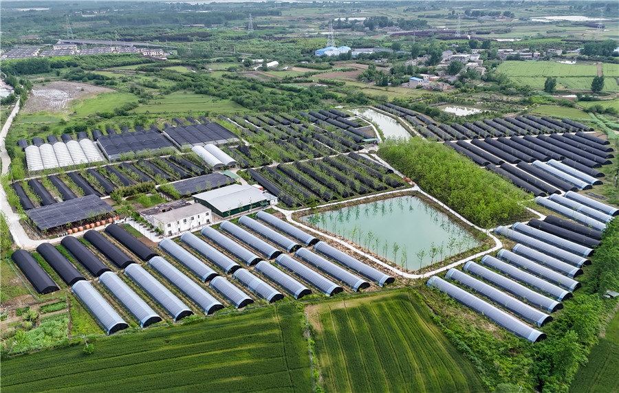 基地全景。人民网记者 苗子健摄