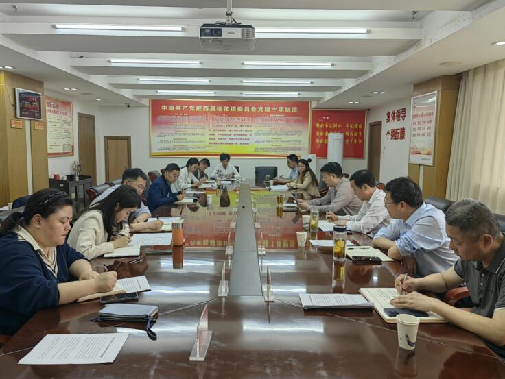 桃花鎮黨委召開專題會議傳達部署黨紀學習教育。潘虹攝
