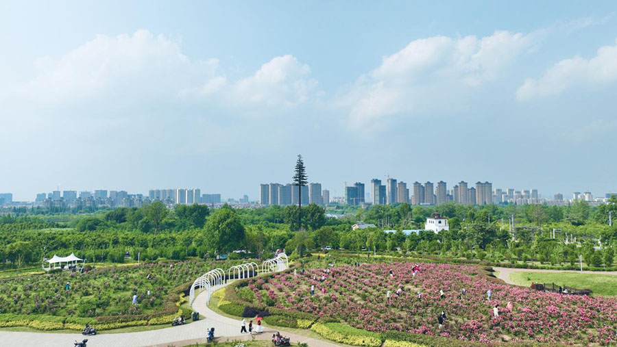 大通区湿地公园。