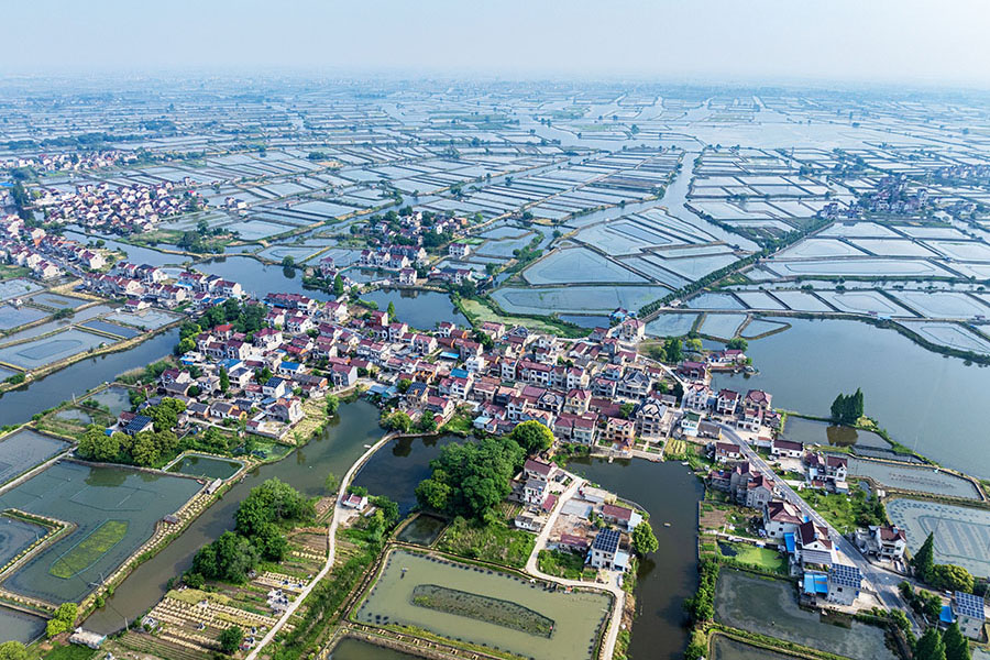 當涂縣塘南鎮曹壩村的水鄉田園美景。