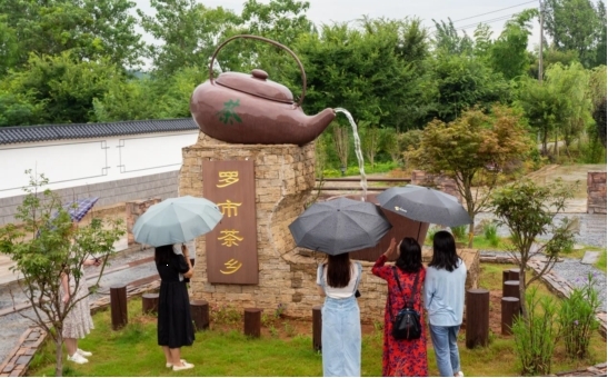 罗市茶乡。