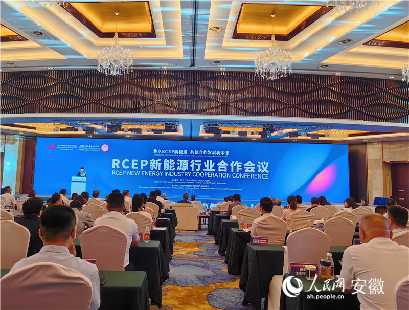 RCEP新能源行业合作会议在安徽阜阳举行。人民网记者 韩震震摄