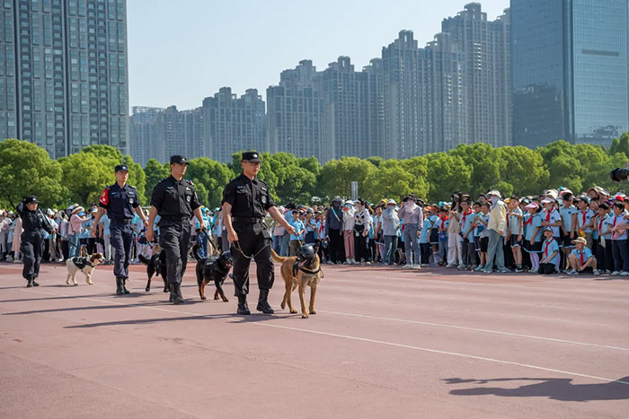 警犬训导员带领警犬一起进行模拟实战演练。
