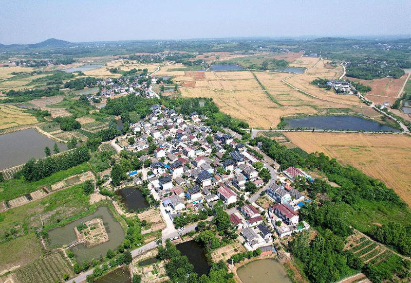 巢湖市黃麓鎮合群村。