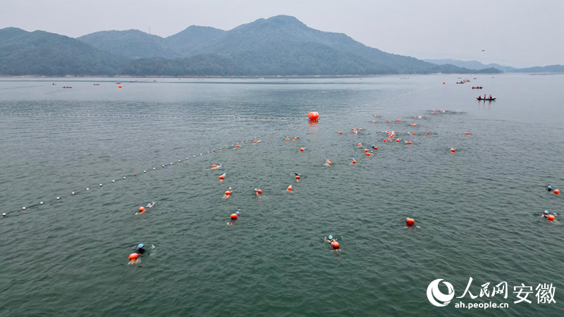 第七届中国·花亭湖国际公开水域游泳赛比赛现场。人民网记者 高飞跃摄