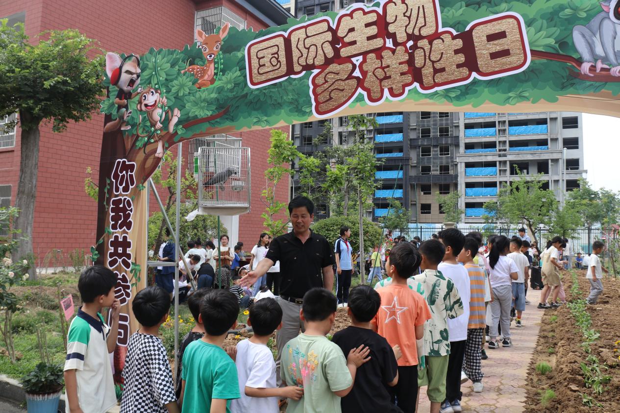 活动现场。