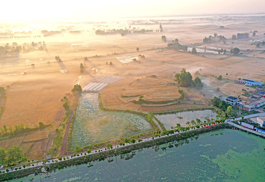 2024年5月28日，安徽省淮南市寿县堰口镇江黄村晨雾缭绕，构成一幅夏日和美乡村生态画卷。