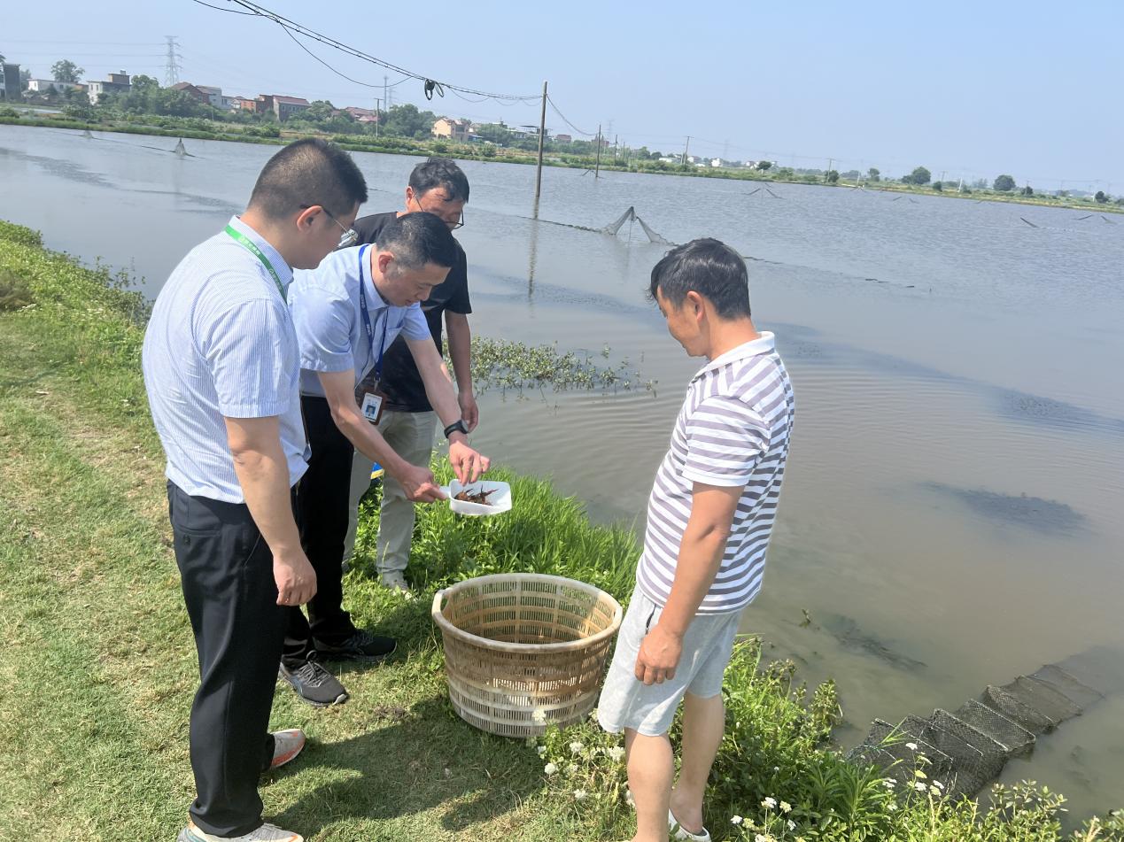 国元保险庐江支公司工作人员走进基地。 受访者供图