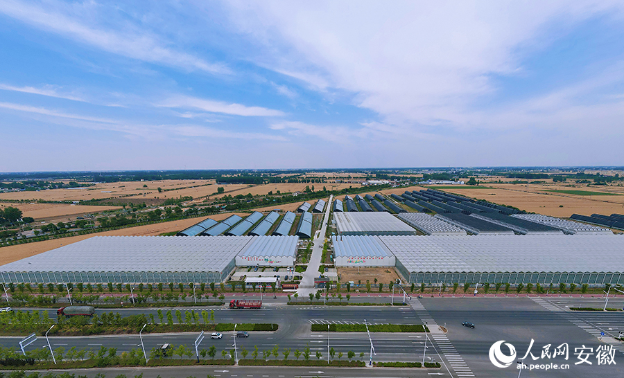 无人机拍摄兴农绿港现代农业科技产业园。人民网记者 王晓飞摄