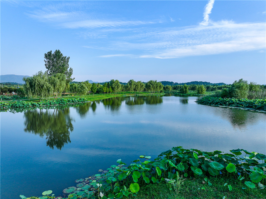 平天湖国家湿地公园满目葱茏。