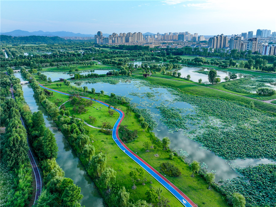 平天湖國家濕地公園滿目蔥蘢。