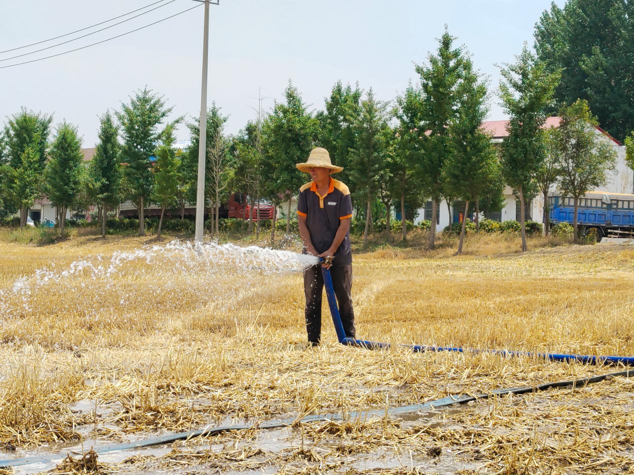 当地村民正浇水灌溉。 人民网 吕欢欢摄