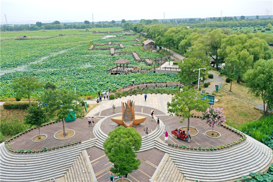淮南市焦岗湖畔荷香四溢，迎来暑日旅游高峰。