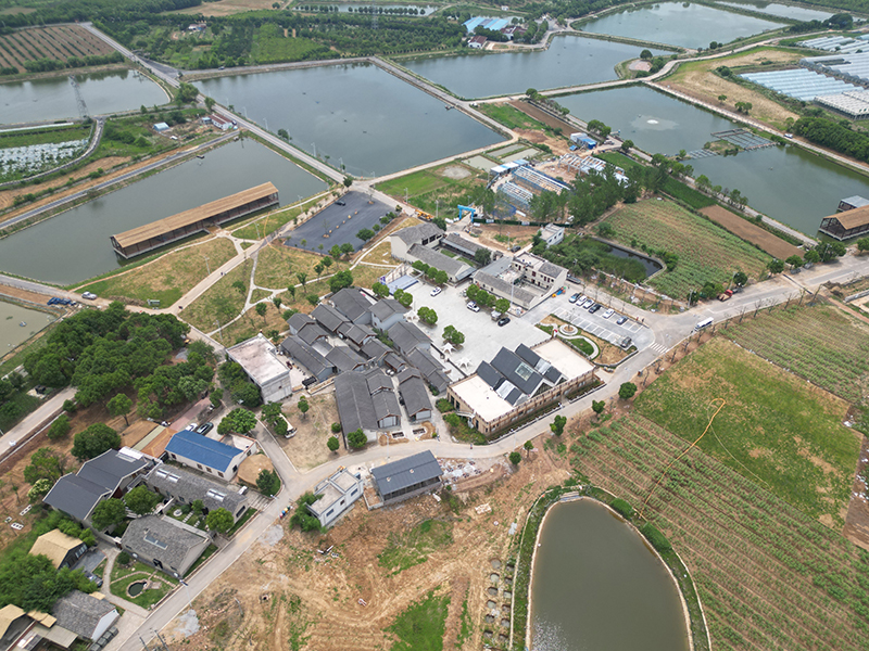 青岭村航拍。岗集镇青峰岭村供图