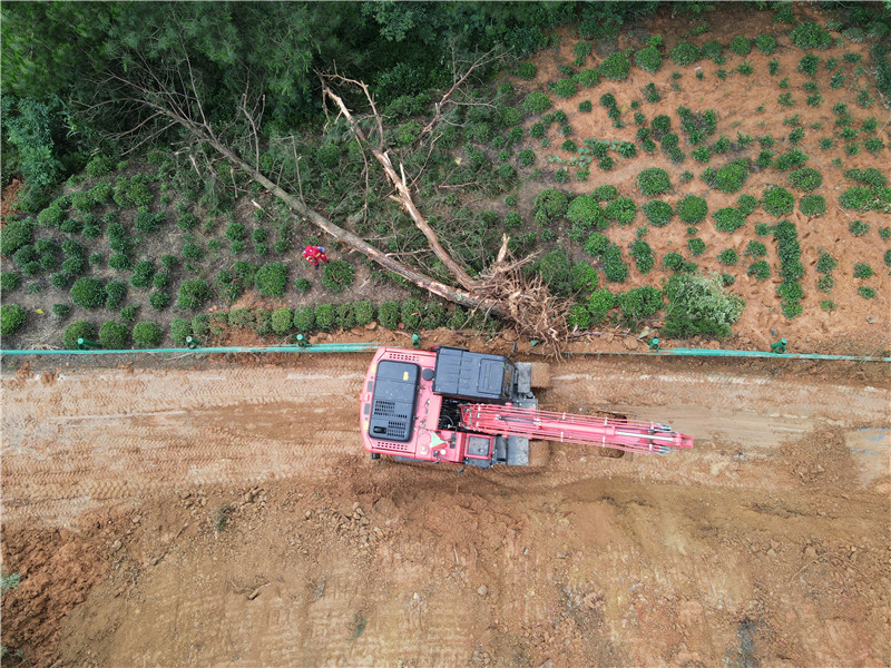 在一处塌方附近，一棵大树也被连根拔起，工程车前来处置。人民网记者 王晓飞摄