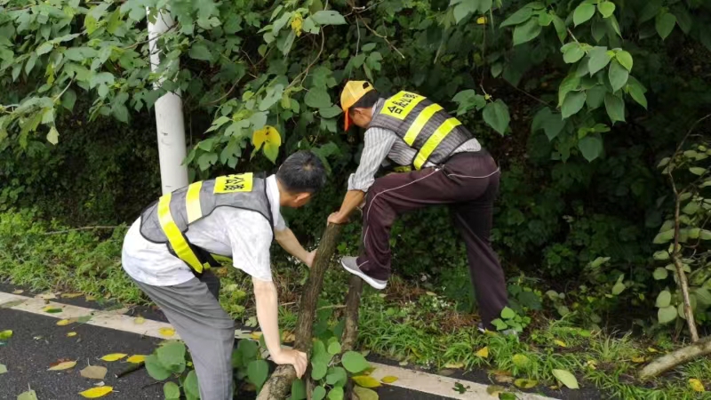 清理障礙物。合肥市交通運輸局供圖