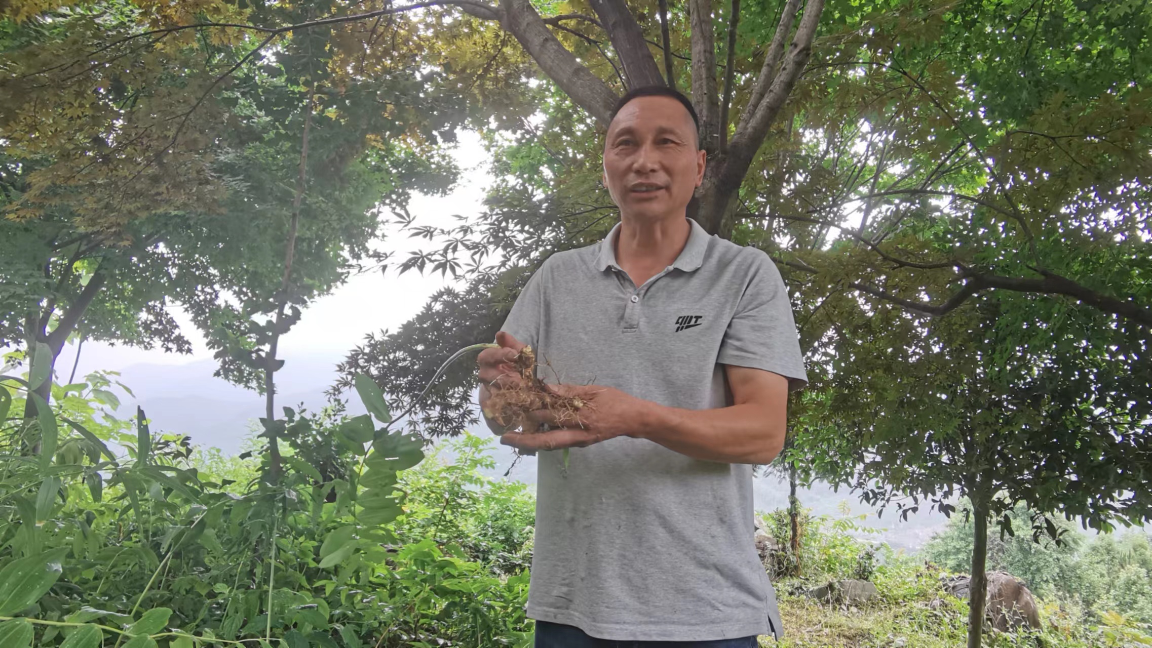 张旭峰捧着刚挖出的黄精。人民网 胡雨松摄