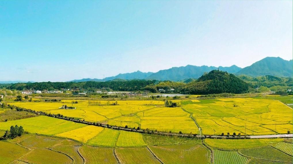 美丽公路。泾县交运局供图