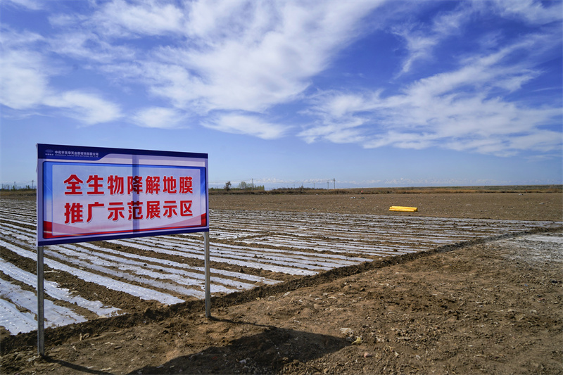 全生物降解地膜推广示范展示区。