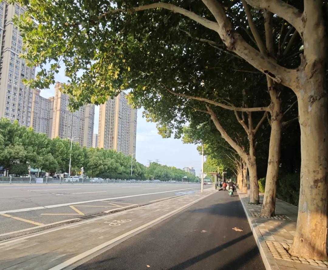 改造后的共享单车停车位与公交站