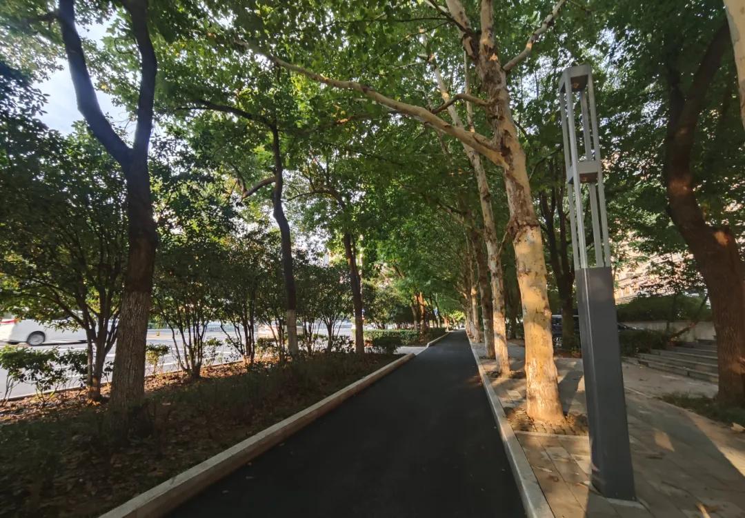 改造后道路品质提升