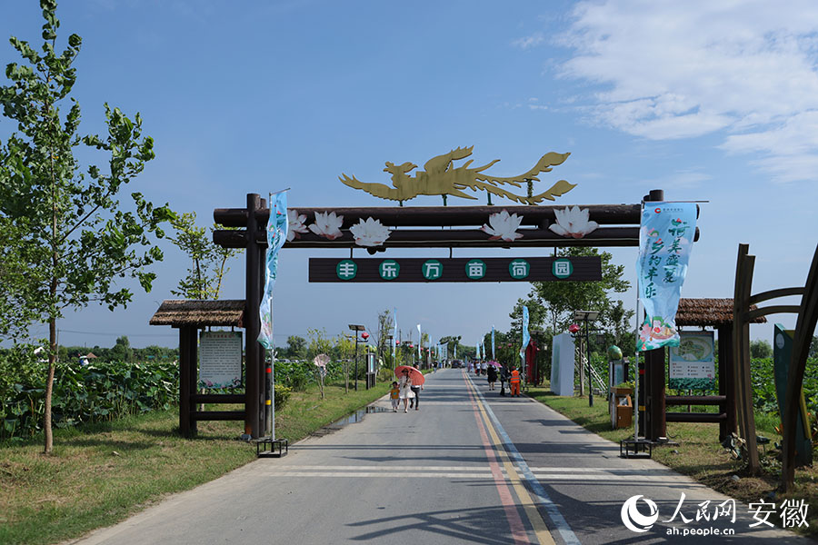丰乐万亩荷园入园处。人民网记者 王晓飞摄