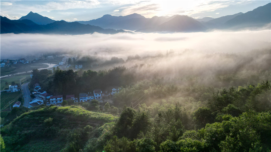 雨后乡村，美若画卷。