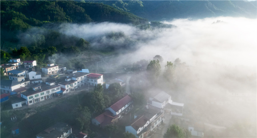 雨后乡村，美若画卷。