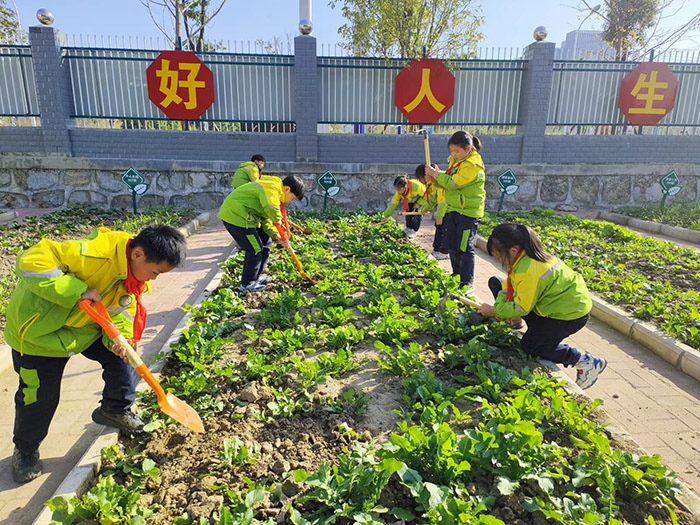 青阳县进一步落实“五育并举”