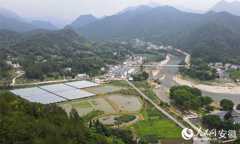 航拍岳西县菖蒲镇毛畈村。人民网记者 王锐摄