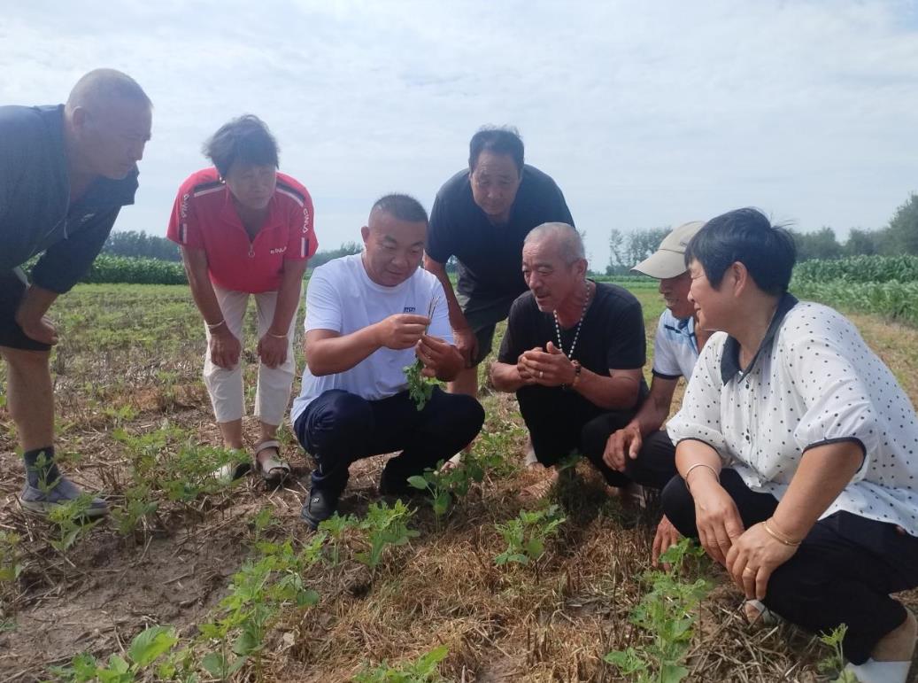 农技专家田间指导。王凯摄