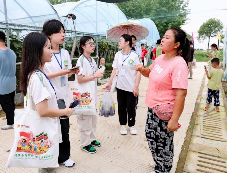 合職青春助農小蜜蜂實踐隊在小崗村開展暑期社會實踐。賈海洋供圖