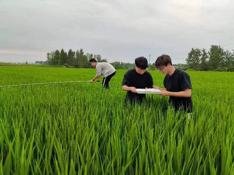 科技助力田管忙。