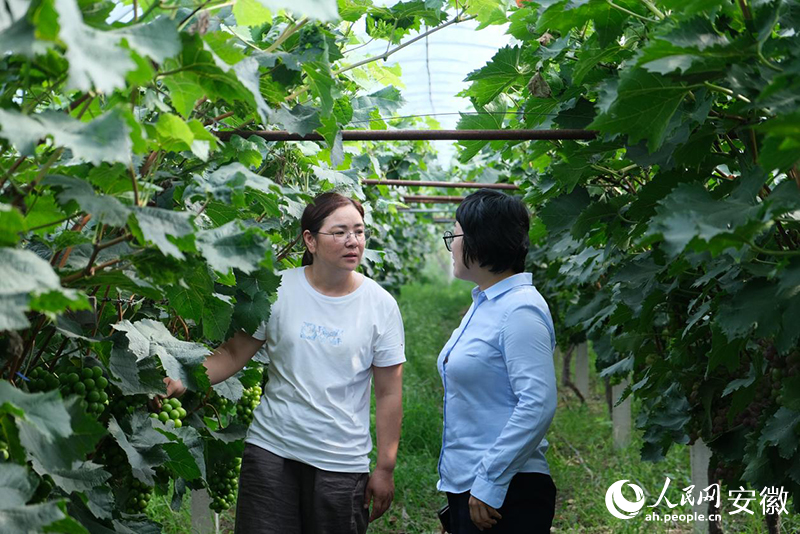 张笑琳与科技银行工作人员交流果园经营情况。人民网 胡雨松摄