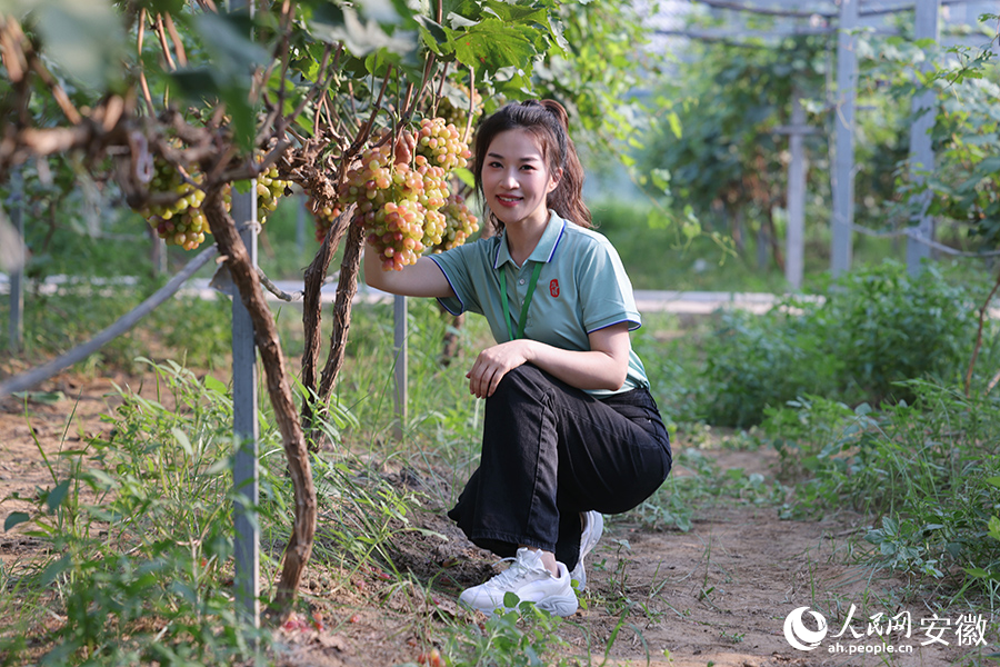 游客在葡萄园里打卡拍照。人民网记者 王晓飞摄