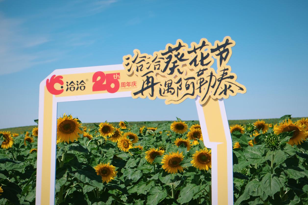 2024年洽洽葵花节
