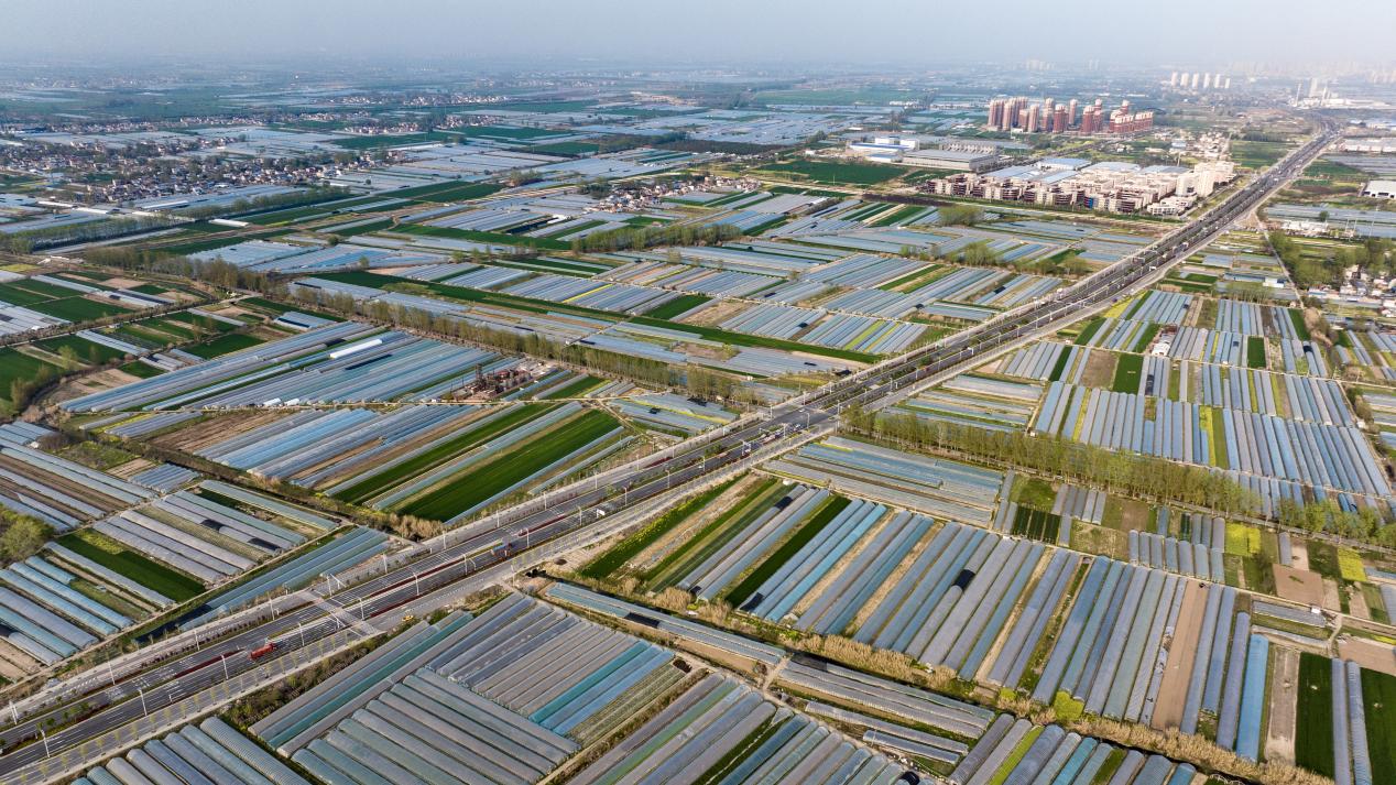 梅桥镇蔬菜大棚航拍。梅桥镇供图
