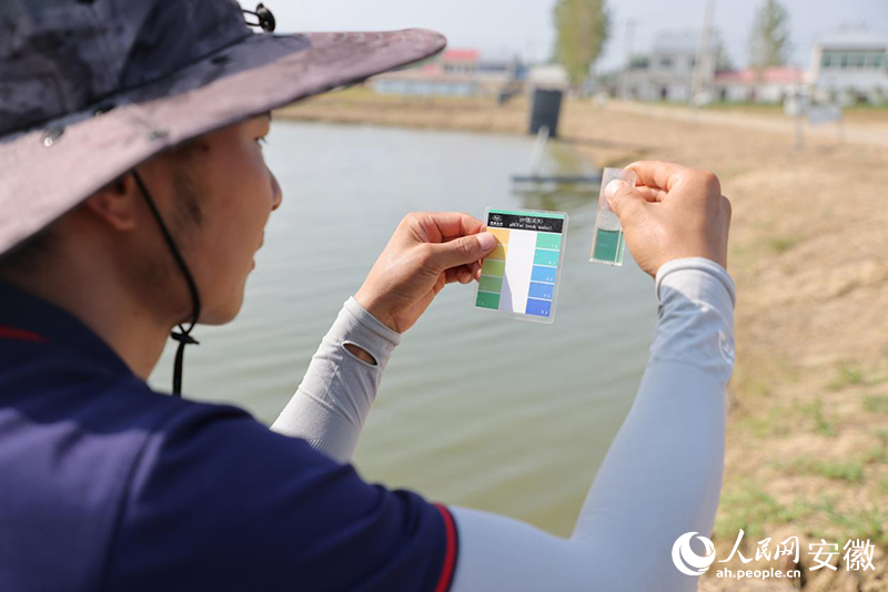 养殖基地内,王磊正在做水质检测。人民网记者 王晓飞摄