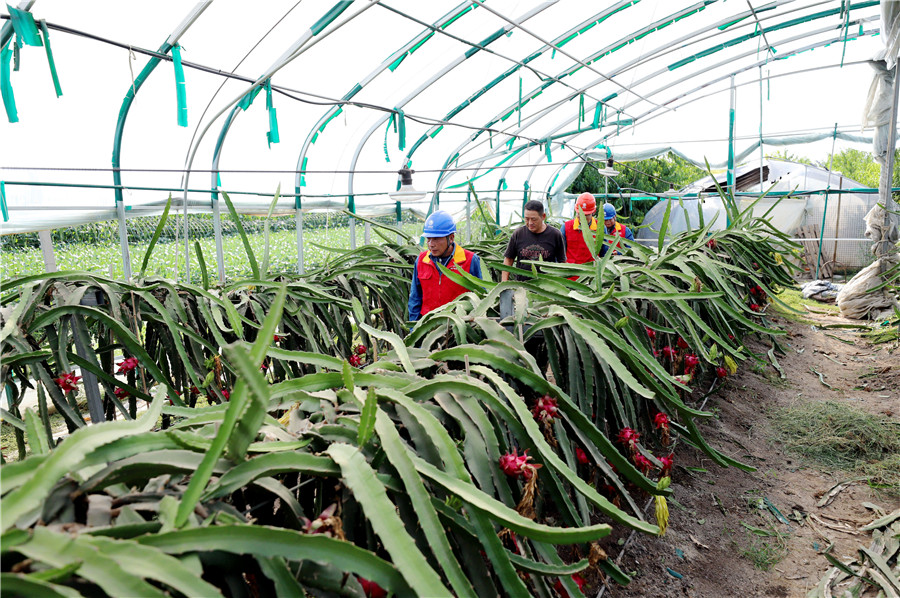 国网涡阳县供电公司工作人员向种植户了解用电服务需求。