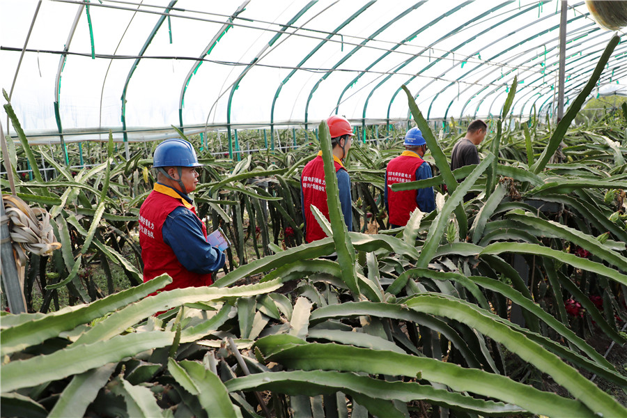 国网涡阳县供电公司工作人员向种植户了解用电服务需求。