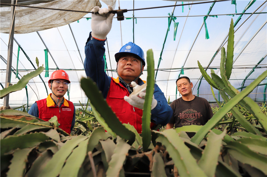 国网涡阳县供电公司工作人员向种植户了解用电服务需求。