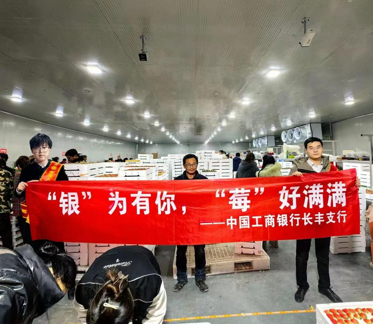 工行長豐支行夜間為莓農現場辦理借記卡。 工行長豐支行供圖