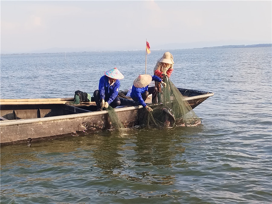 魚躍秋捕忙。