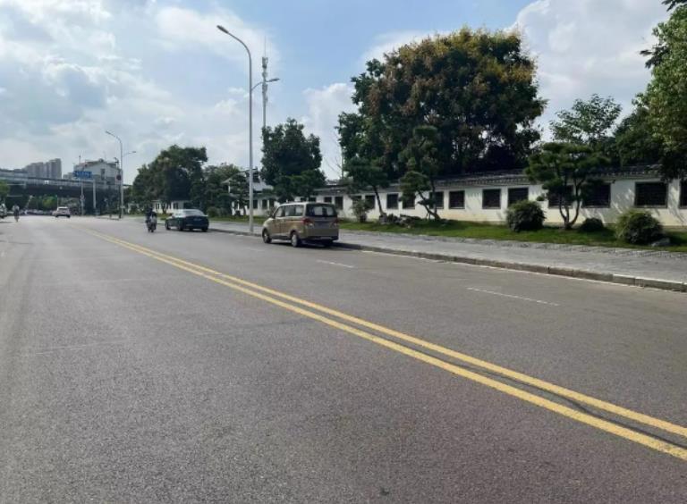 道路概況實景圖。